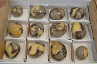 Polished Septaria Galet / Palm Stones x 12 From Madagascar