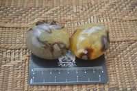 Polished Septaria Galet / Palm Stones x 12 From Madagascar