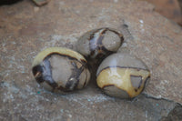 Polished Septaria Galet / Palm Stones x 12 From Madagascar