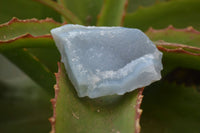 Natural Etched Blue Chalcedony Specimens  x 12 From Malawi