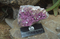 Natural Pink Salrose Cobaltion Dolomite Specimen x 1 From Kakanda, Congo