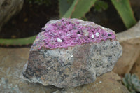 Natural Pink Salrose Cobaltion Dolomite Specimen x 1 From Kakanda, Congo