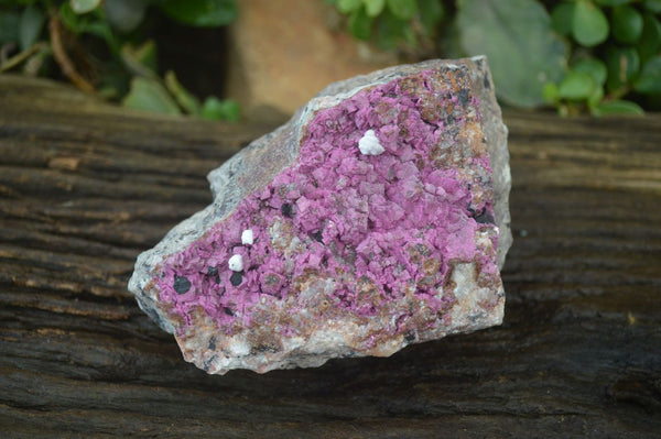 Natural Pink Salrose Cobaltion Dolomite Specimen x 1 From Kakanda, Congo