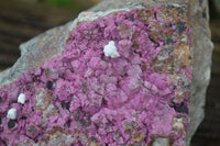 Natural Pink Salrose Cobaltion Dolomite Specimen x 1 From Kakanda, Congo