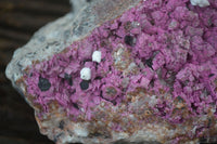 Natural Pink Salrose Cobaltion Dolomite Specimen x 1 From Kakanda, Congo