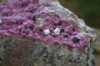 Natural Pink Salrose Cobaltion Dolomite Specimen x 1 From Kakanda, Congo