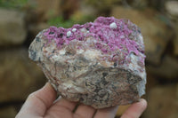 Natural Pink Salrose Cobaltion Dolomite Specimen x 1 From Kakanda, Congo