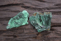 Natural Chatoyant Silky Malachite Specimens  x 35 From Kasompe, Congo