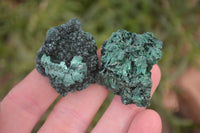 Natural Chatoyant Silky Malachite Specimens  x 35 From Kasompe, Congo