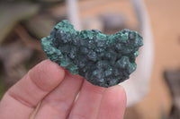 Natural Chatoyant Silky Malachite Specimens  x 35 From Kasompe, Congo