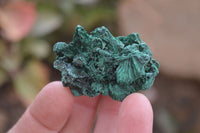 Natural Chatoyant Silky Malachite Specimens  x 35 From Kasompe, Congo