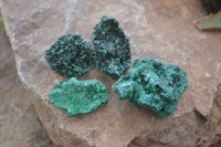 Natural Chatoyant Silky Malachite Specimens  x 35 From Kasompe, Congo