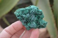 Natural Chatoyant Silky Malachite Specimens  x 35 From Kasompe, Congo