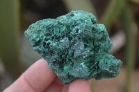 Natural Chatoyant Silky Malachite Specimens  x 35 From Kasompe, Congo