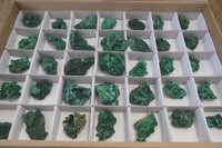 Natural Chatoyant Silky Malachite Specimens  x 35 From Kasompe, Congo