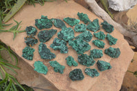 Natural Chatoyant Silky Malachite Specimens  x 35 From Kasompe, Congo