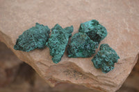 Natural Chatoyant Silky Malachite Specimens  x 35 From Kasompe, Congo