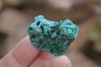 Natural Chatoyant Silky Malachite Specimens  x 35 From Kasompe, Congo