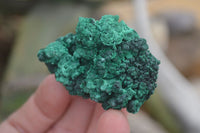 Natural Chatoyant Silky Malachite Specimens  x 35 From Kasompe, Congo