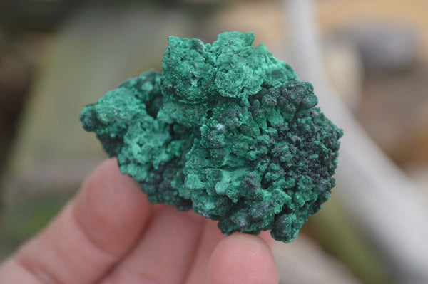 Natural Chatoyant Silky Malachite Specimens  x 35 From Kasompe, Congo