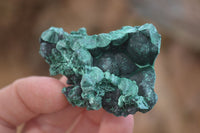 Natural Chatoyant Silky Malachite Specimens  x 35 From Kasompe, Congo