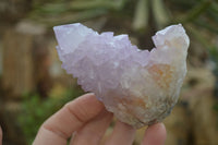 Natural Spirit Amethyst Cactus Quartz Clusters x 6 From Boekenhouthoek, South Africa