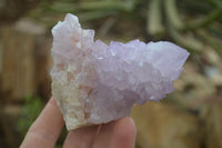 Natural Spirit Amethyst Cactus Quartz Clusters x 6 From Boekenhouthoek, South Africa