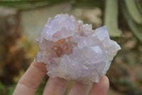 Natural Spirit Amethyst Cactus Quartz Clusters x 6 From Boekenhouthoek, South Africa