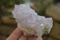 Natural Spirit Amethyst Cactus Quartz Clusters x 6 From Boekenhouthoek, South Africa