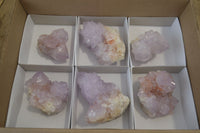 Natural Spirit Amethyst Cactus Quartz Clusters x 6 From Boekenhouthoek, South Africa