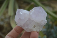 Natural Spirit Amethyst Cactus Quartz Clusters x 6 From Boekenhouthoek, South Africa