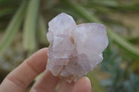 Natural Spirit Amethyst Cactus Quartz Clusters x 6 From Boekenhouthoek, South Africa