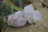 Natural Spirit Amethyst Cactus Quartz Clusters x 6 From Boekenhouthoek, South Africa