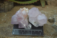 Natural Spirit Amethyst Cactus Quartz Clusters x 6 From Boekenhouthoek, South Africa