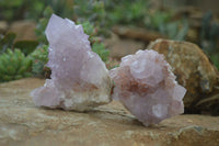 Natural Spirit Amethyst Cactus Quartz Clusters x 6 From Boekenhouthoek, South Africa