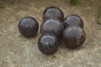 Polished Pyrope Garnet Matrix Spheres  x 6 From Madagascar