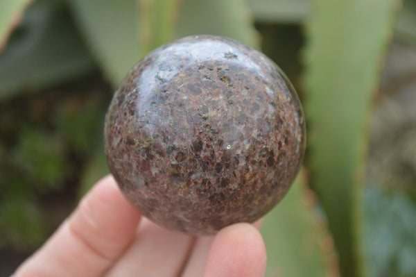 Polished Pyrope Garnet Matrix Spheres  x 6 From Madagascar