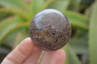 Polished Pyrope Garnet Matrix Spheres  x 6 From Madagascar