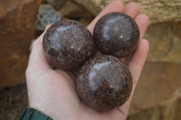 Polished Pyrope Garnet Matrix Spheres  x 6 From Madagascar