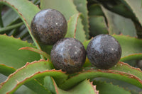 Polished Pyrope Garnet Matrix Spheres  x 6 From Madagascar