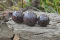 Polished Pyrope Garnet Matrix Spheres  x 6 From Madagascar