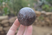 Polished Pyrope Garnet Matrix Spheres  x 6 From Madagascar