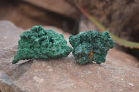 Natural Chatoyant Silky Malachite Specimens  x 20 From Kasompe, Congo