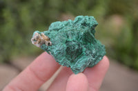 Natural Chatoyant Silky Malachite Specimens  x 20 From Kasompe, Congo