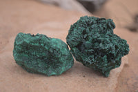 Natural Chatoyant Silky Malachite Specimens  x 20 From Kasompe, Congo