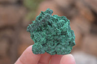 Natural Chatoyant Silky Malachite Specimens  x 20 From Kasompe, Congo