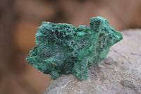 Natural Chatoyant Silky Malachite Specimens  x 20 From Kasompe, Congo