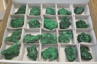 Natural Chatoyant Silky Malachite Specimens  x 20 From Kasompe, Congo