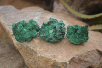 Natural Chatoyant Silky Malachite Specimens  x 20 From Kasompe, Congo