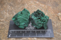 Natural Chatoyant Silky Malachite Specimens  x 20 From Kasompe, Congo